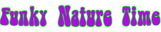 FNT Logo